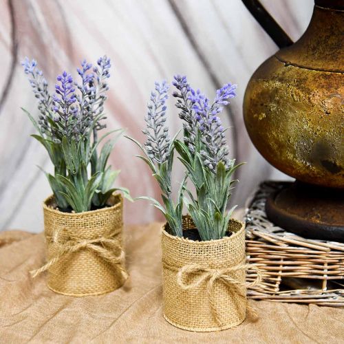 Floristik24 Mini lavanda en maceta plantas artificiales Decoración de lavanda artificial