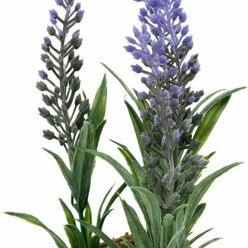 Floristik24 Mini lavanda en maceta plantas artificiales Decoración de lavanda artificial