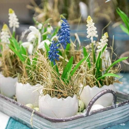 Floristik24 Mini macetero blanco cáscara de huevo Ø8cm H7cm 4pcs