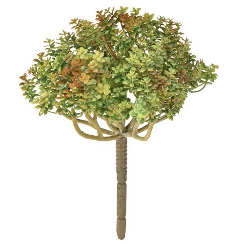 Mini planta suculenta artificial verde con tallo H23cm