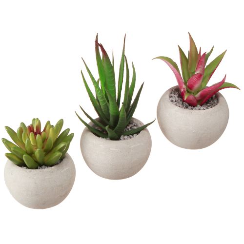 Mini Suculentas en Maceta Plantas Artificiales Decoración Ø6.5cm 6uds