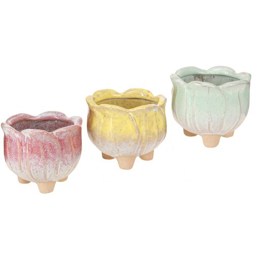 Artículo Mini maceta de cerámica con flores surtidas Ø8cm H7cm 3uds