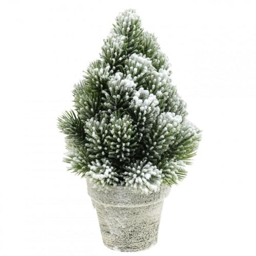 Floristik24 Mini árbol de Navidad en maceta con nieve artificial Ø14cm H24cm