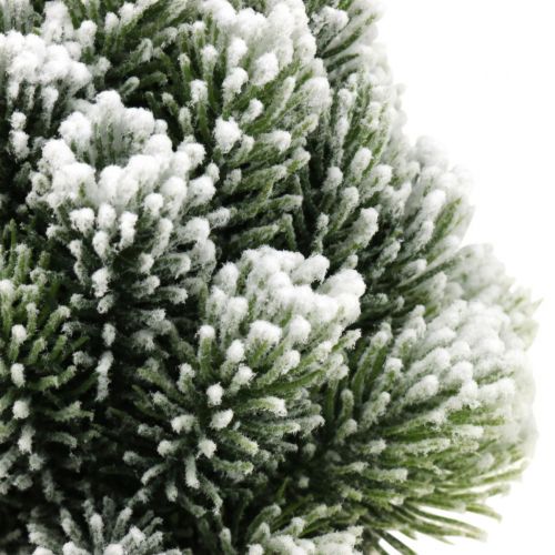 Floristik24 Mini árbol de Navidad en maceta con nieve artificial Ø14cm H24cm