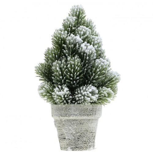 Floristik24 Mini árbol de Navidad en maceta con nieve artificial Ø14cm H24cm