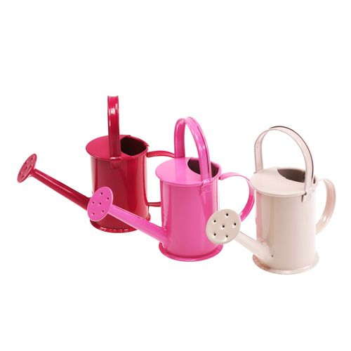 Floristik24 Mini regaderas Rosa Rosa Ø4cm 12pcs