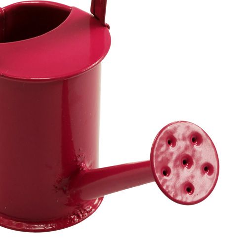 Floristik24 Mini regaderas Rosa Rosa Ø4cm 12pcs