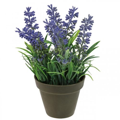 Floristik24 Mini lavanda en maceta planta artificial decoración lavanda H16cm