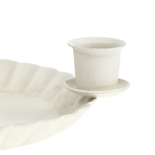 Floristik24 Mini plato con 4x candelabro de árbol Ø10cm crema