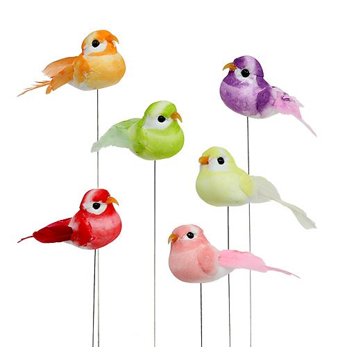 Floristik24 Mini Bird surtido 7cm 12pcs