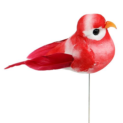 Floristik24 Mini Bird surtido 7cm 12pcs