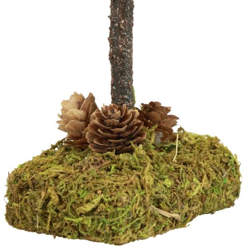 Floristik24 Mini árbol de Navidad decoración de mesa árbol de musgo Al. 30,5 cm
