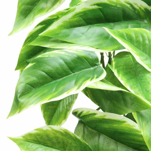 Floristik24 Funkie de borde blanco artificial verde, blanco 100cm