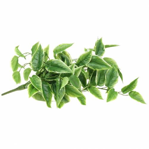 Floristik24 Funkie de borde blanco artificial verde, blanco 100cm