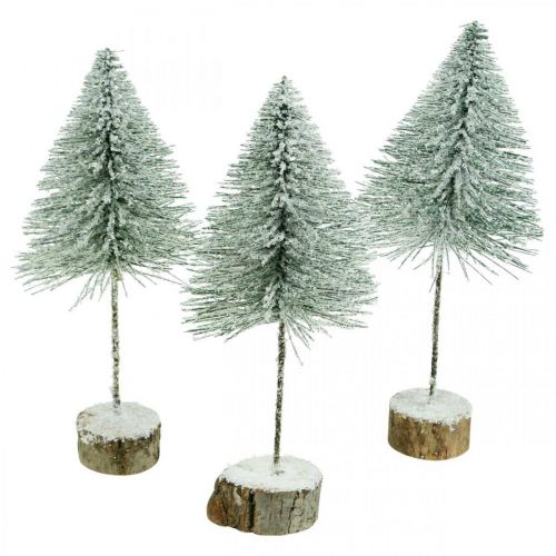 Floristik24 Abetos decorativos, adornos de invierno, árbol de Navidad, Adviento Al.30 / 32cm Ø13.5cm juego de 3