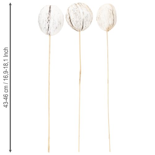 Artículo Mezcla de bolas de mintolla en barra blanqueadas 6uds