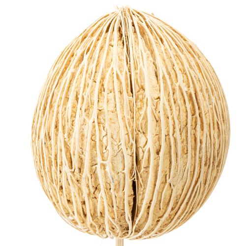 Artículo Bola Mintolla blanqueada 8cm - 10cm L46cm 6 uds