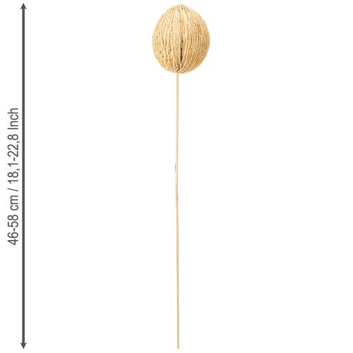 Artículo Bola Mintolla blanqueada 8cm - 10cm L46cm 6 uds