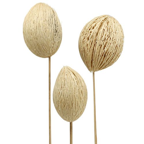 Artículo Bola Mintolla blanqueada 8cm - 10cm L46cm 6 piezas
