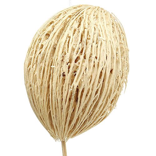 Artículo Bola Mintolla blanqueada 8cm - 10cm L46cm 6 piezas