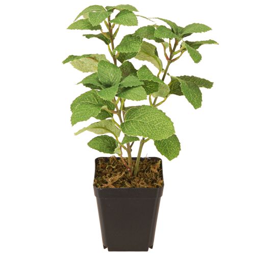 Artículo Menta en maceta Hierbas artificiales Planta verde H24cm