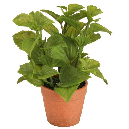 Menta en maceta Hierbas artificiales Plantas artificiales 18cm 2 piezas
