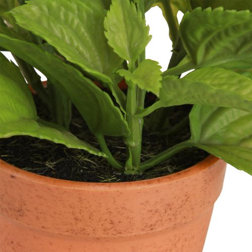 Artículo Menta en maceta Hierbas artificiales Plantas artificiales 18cm 2 piezas