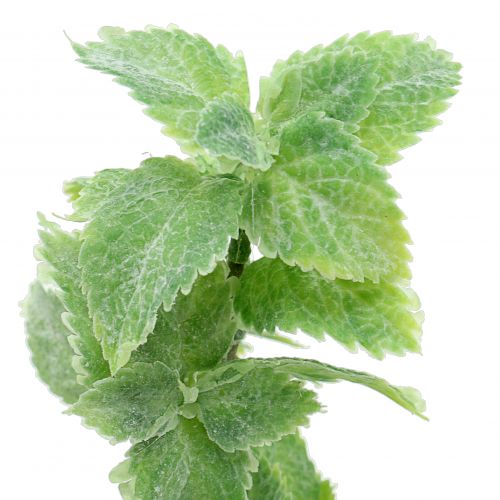 Artículo Verde artificial menta 25cm 12uds