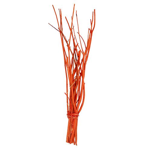 Floristik24 Mitsumata ramas Naranja 34-60cm 12pcs