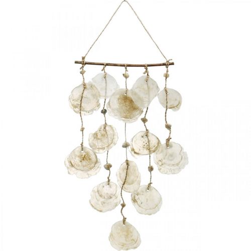 Floristik24 Percha decorativa marinera, conchas capiz, decoración veraniega L73cm AN35cm