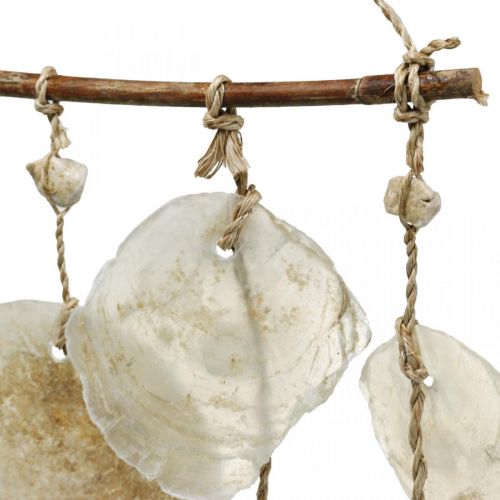 Floristik24 Percha decorativa marinera, conchas capiz, decoración veraniega L73cm AN35cm