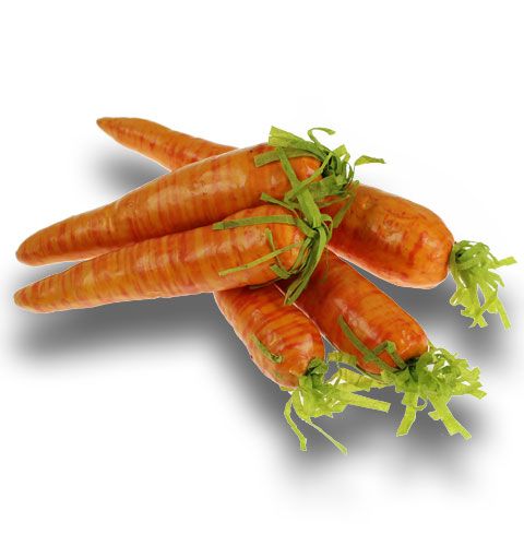 Floristik24 Zanahorias y zanahorias artificiales 20 piezas.