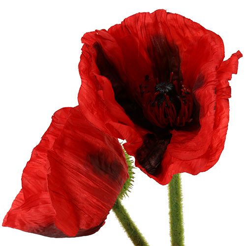 Artículo Rojo amapola 58cm - 74cm 3 piezas