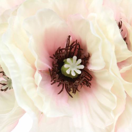 Floristik24 Amapola blanca, rosa 29cm 6uds