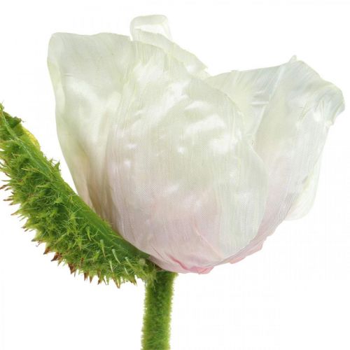 Floristik24 Amapola artificial, flor de seda blanco-rosa L55/60/70cm juego de 3