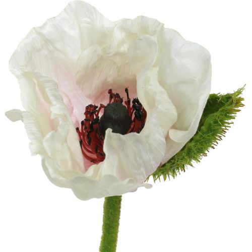 Artículo Amapola artificial, flor de seda blanco-rosa L55/60/70cm juego de 3