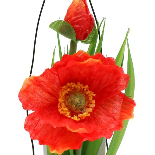 Floristik24 Semillas de amapola naranjas en un vaso A22cm