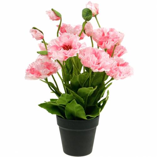 Amapola oriental, flor artificial, amapola en maceta rosa