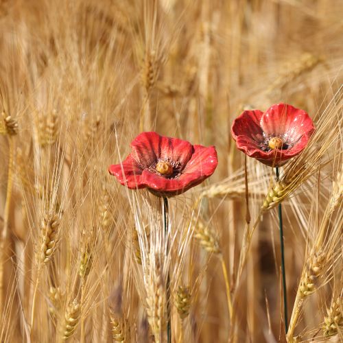 Artículo Flor de amapola de cerámica, decoración romántica para jardín de primavera y parterres, 31 cm, 6 unidades