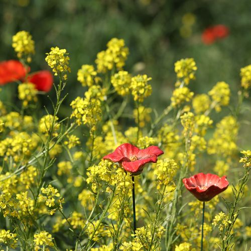 Artículo Decoración romántica de flores de amapola de cerámica para jardín y macizos de flores en primavera, 31 cm, 6 unidades.
