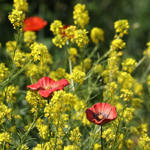 Artículo Estaca de cerámica con forma de amapola para jardín, diseño original para macizos de flores, 52 cm, 2 piezas