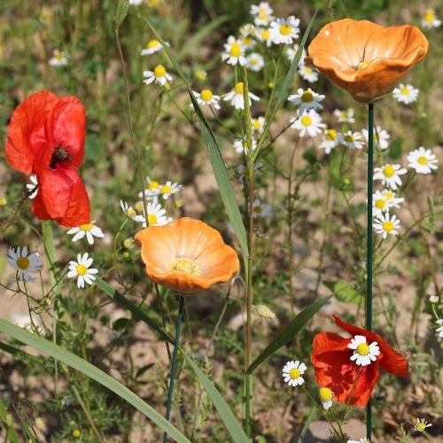 Artículo Estaca de amapola, flor de cerámica, cuidadosamente detallada, para elegantes acentos de jardín, 42 cm, 4 piezas