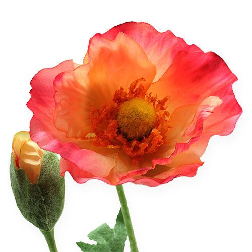 Floristik24 Amapola Artificial Rosa, Amarillo 74cm