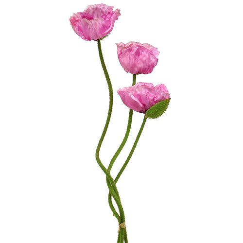 Floristik24 Amapolas rosa 59cm - 75cm 3pcs