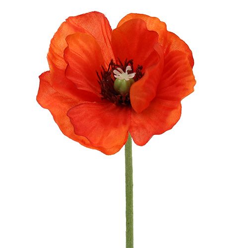 Floristik24 Ramo de amapolas L28cm