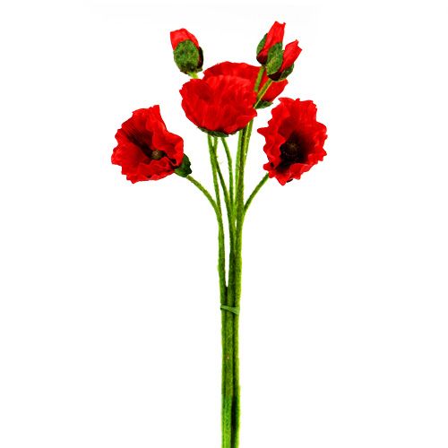 Floristik24 Amapolas Rojas Ø7cm L48cm 4pcs