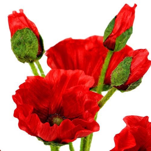 Floristik24 Amapolas Rojas Ø7cm L48cm 4pcs