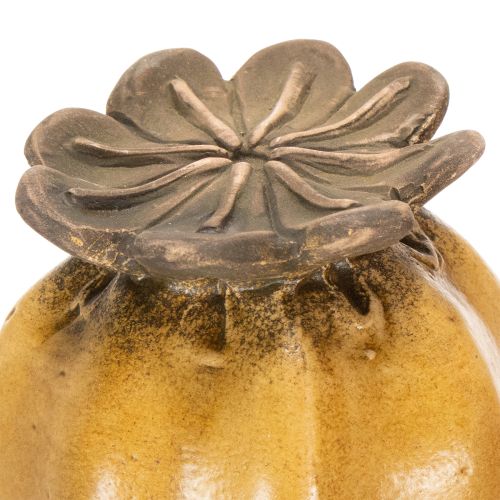 Artículo Estaca de jardín con semillas de amapola para un diseño elegante de jardín, parterre o balcón, 60 cm, 2 piezas