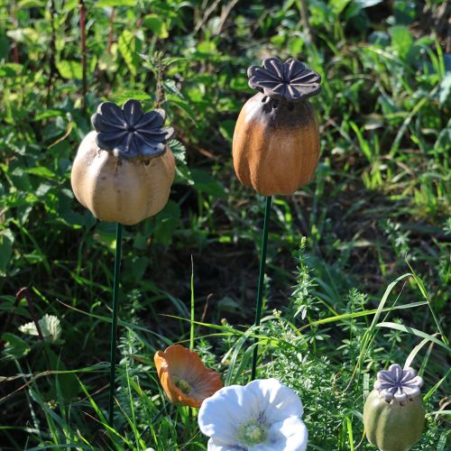 Artículo Estaca de jardín con semillas de amapola para un diseño elegante de jardín, parterre o balcón, 60 cm, 2 piezas