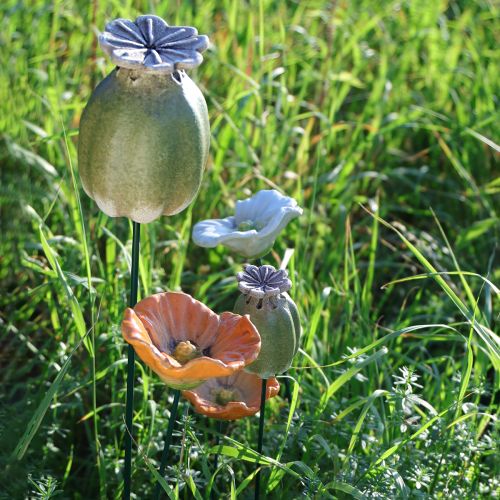 Artículo Estaca decorativa de vaina de semillas de amapola para un jardín elegante de temporada o para destacar en el balcón, 41 cm, 4 piezas